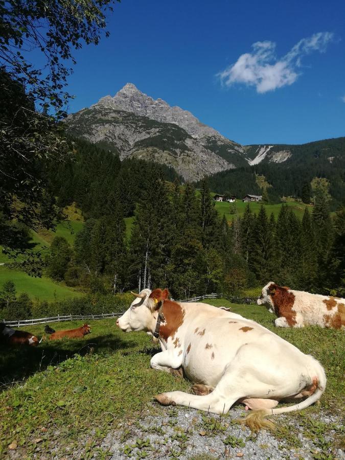 Apart-Alpin Stanzach Exterior foto